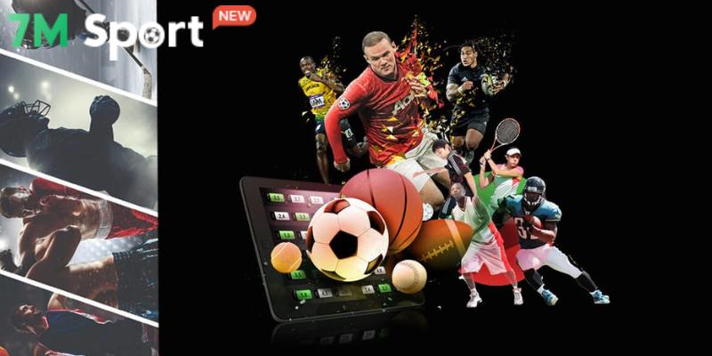 Cung cấp đa dạng sản phẩm thể thao hấp dẫn