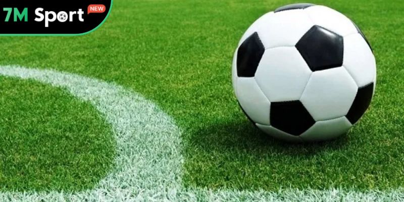 Thông tin cơ bản về kết quả bóng đá tại 7M